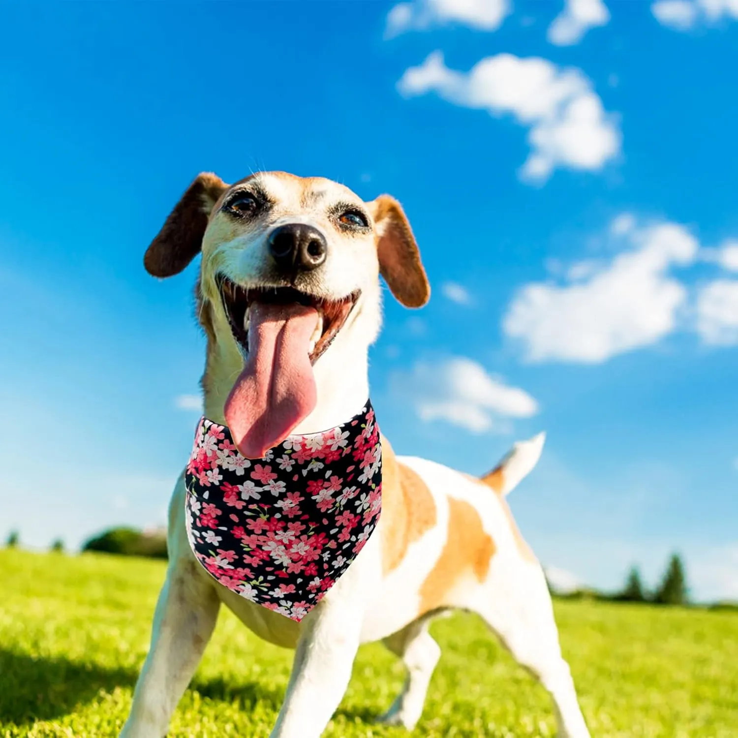 100PCS Small Dogs Bandanas Bulk Pet Summer Bandanas Pack Cat Kerchief Washable Triangle Bibs Head Scarves Scarfs Random Patterns for Boys and Girls Medium Puppies Grooming Accessories Costume