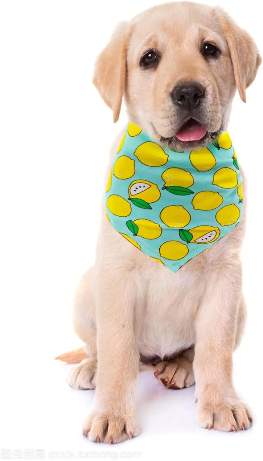 100PCS Small Dogs Bandanas Bulk Pet Summer Bandanas Pack Cat Kerchief Washable Triangle Bibs Head Scarves Scarfs Random Patterns for Boys and Girls Medium Puppies Grooming Accessories Costume
