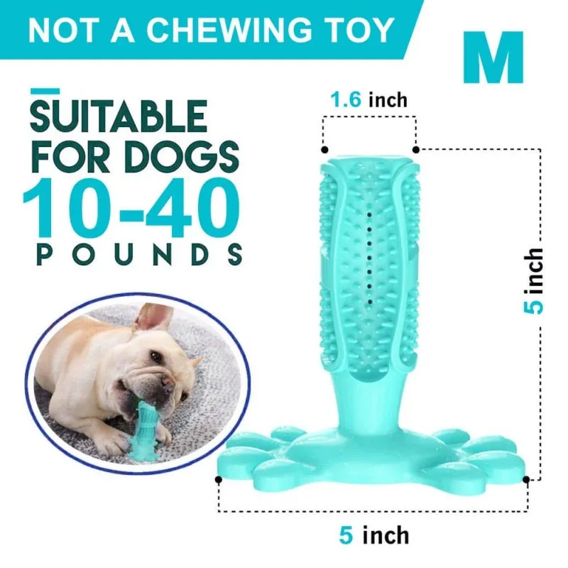 3pcs Meat-Flavored Dog Toothbrush