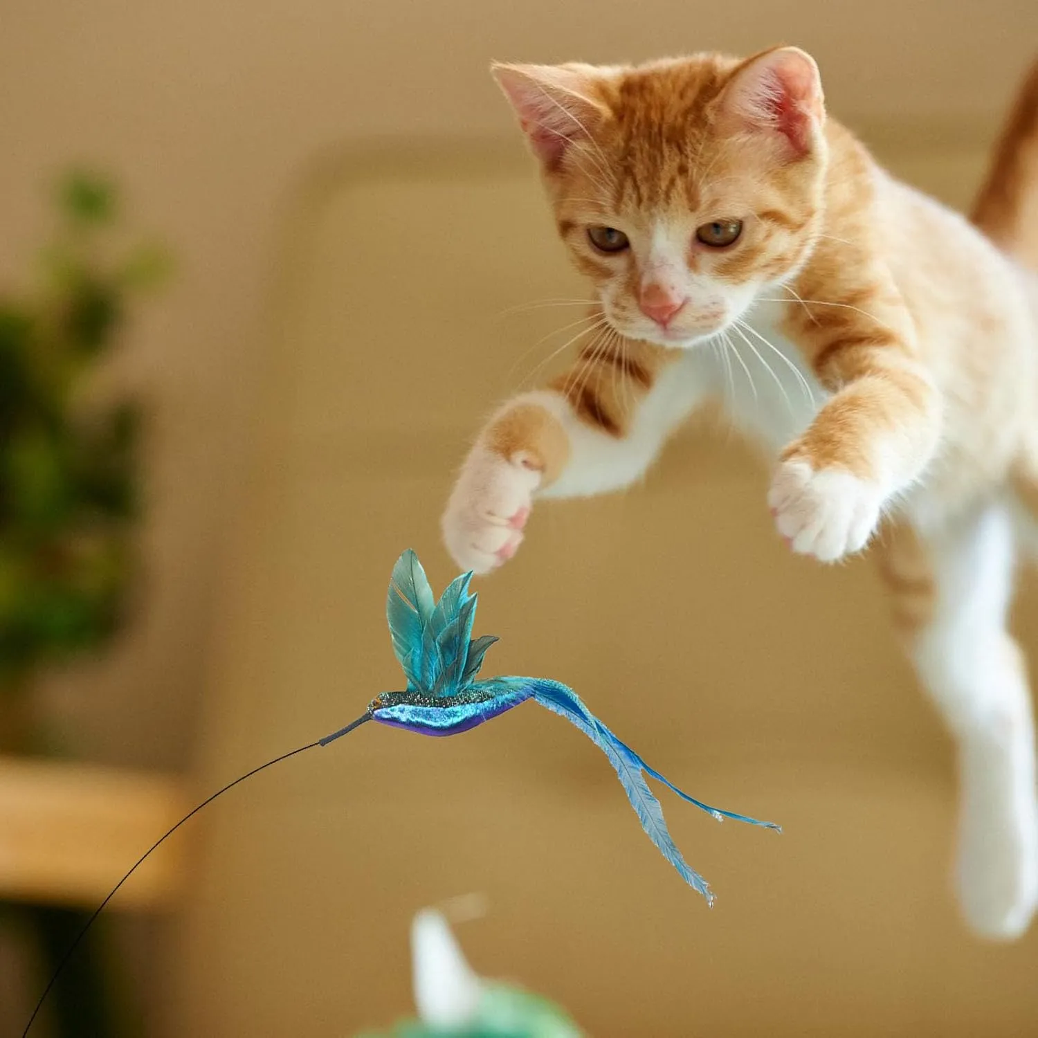 8 Pieces Cat Feather Toys Replacement Bird Insect Cat Toy Wand Refills Cats Toy Replacement Natural Bird Feathers for Cats Toys