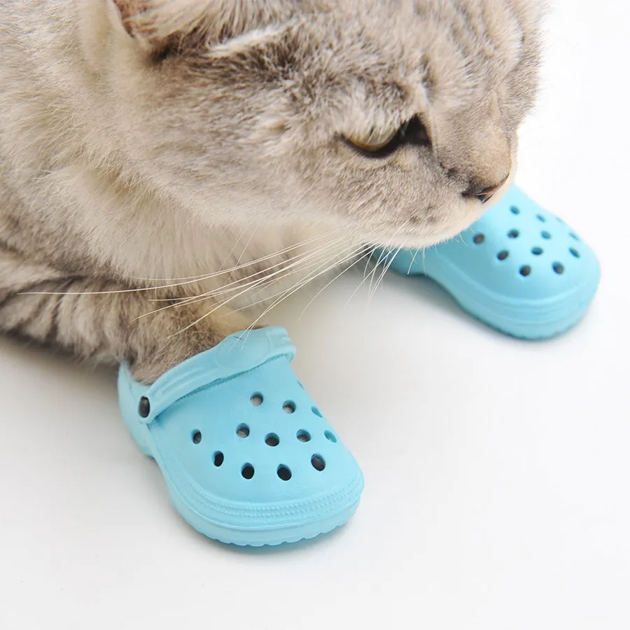Adorable Pet Shoes