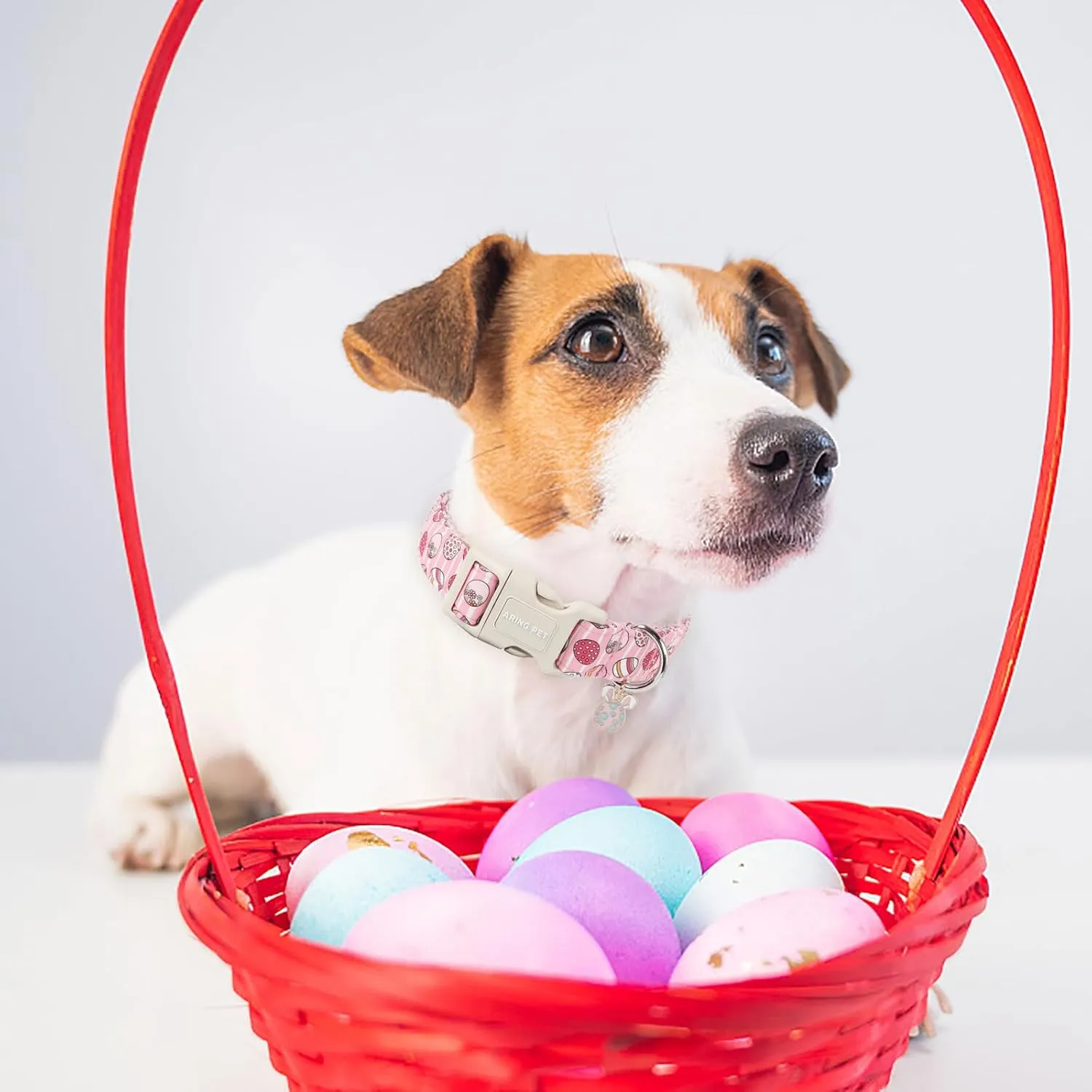 ARING PET Dog Collar - Cute Pink Striped Collar with Easter Eggs, Adjustable Quick Release Buckle for Girl & Boy Dogs