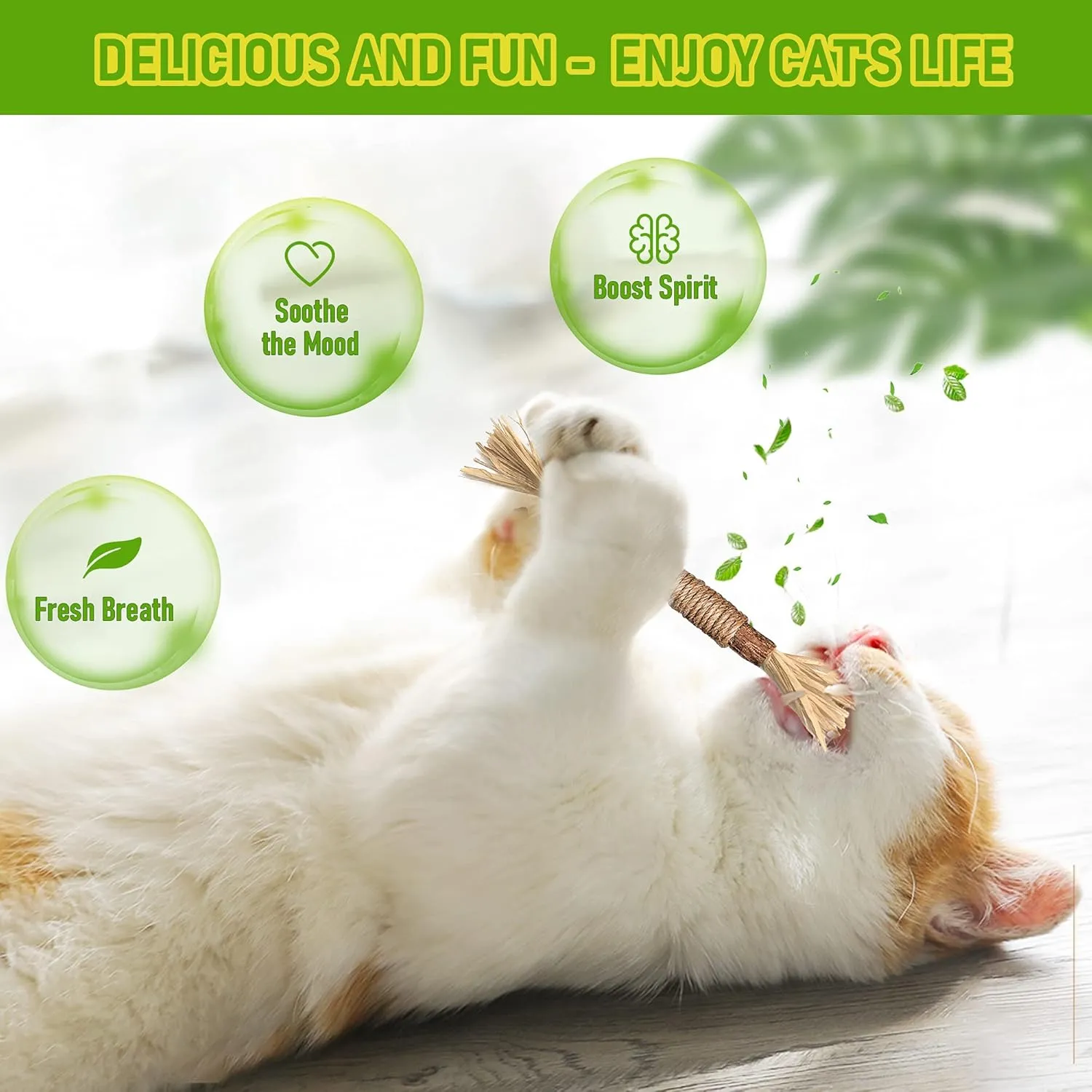 BAWAN Catnip Toys Silvervine for Cats: Cute Cat & Kitten Toys for Indoor Cats Interactive Cat & Kitten Teething Chew Toys for Aggressive Chewers Silvervine Sticks Cat Dental Toy (3PCS)