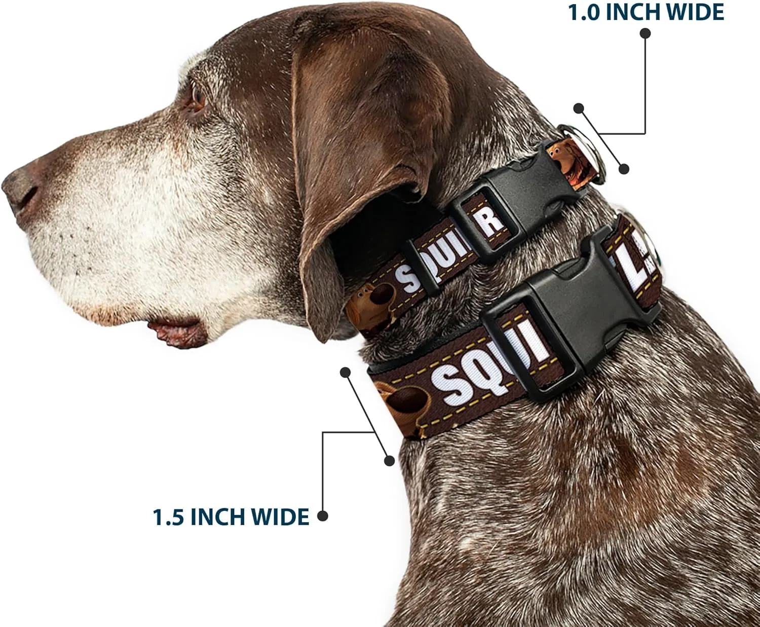 Buckle-Down Plastic Clip Collar - Dug 3-Poses/SQUIRREL! Brown/Yellow/White - 1.5" Wide - Fits 13-18" Neck - Small