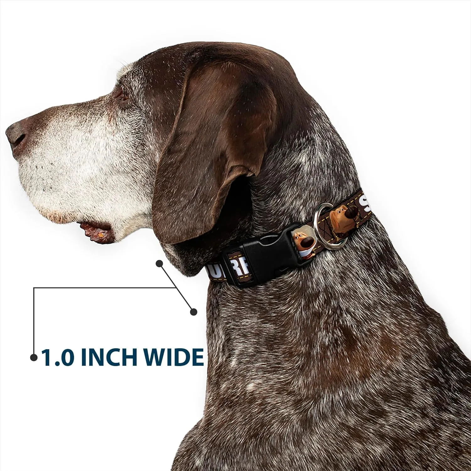 Buckle-Down Plastic Clip Collar - Dug 3-Poses/SQUIRREL! Brown/Yellow/White - 1.5" Wide - Fits 13-18" Neck - Small