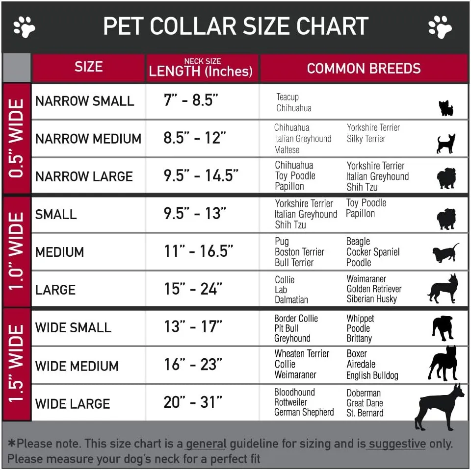 Buckle-Down Plastic Clip Collar - Dug 3-Poses/SQUIRREL! Brown/Yellow/White - 1.5" Wide - Fits 13-18" Neck - Small