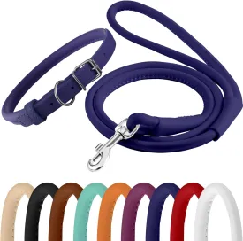 CollarDirect Rolled Leather Dog Collar and Leash Set (Neck Fit 11"-14", Purple)