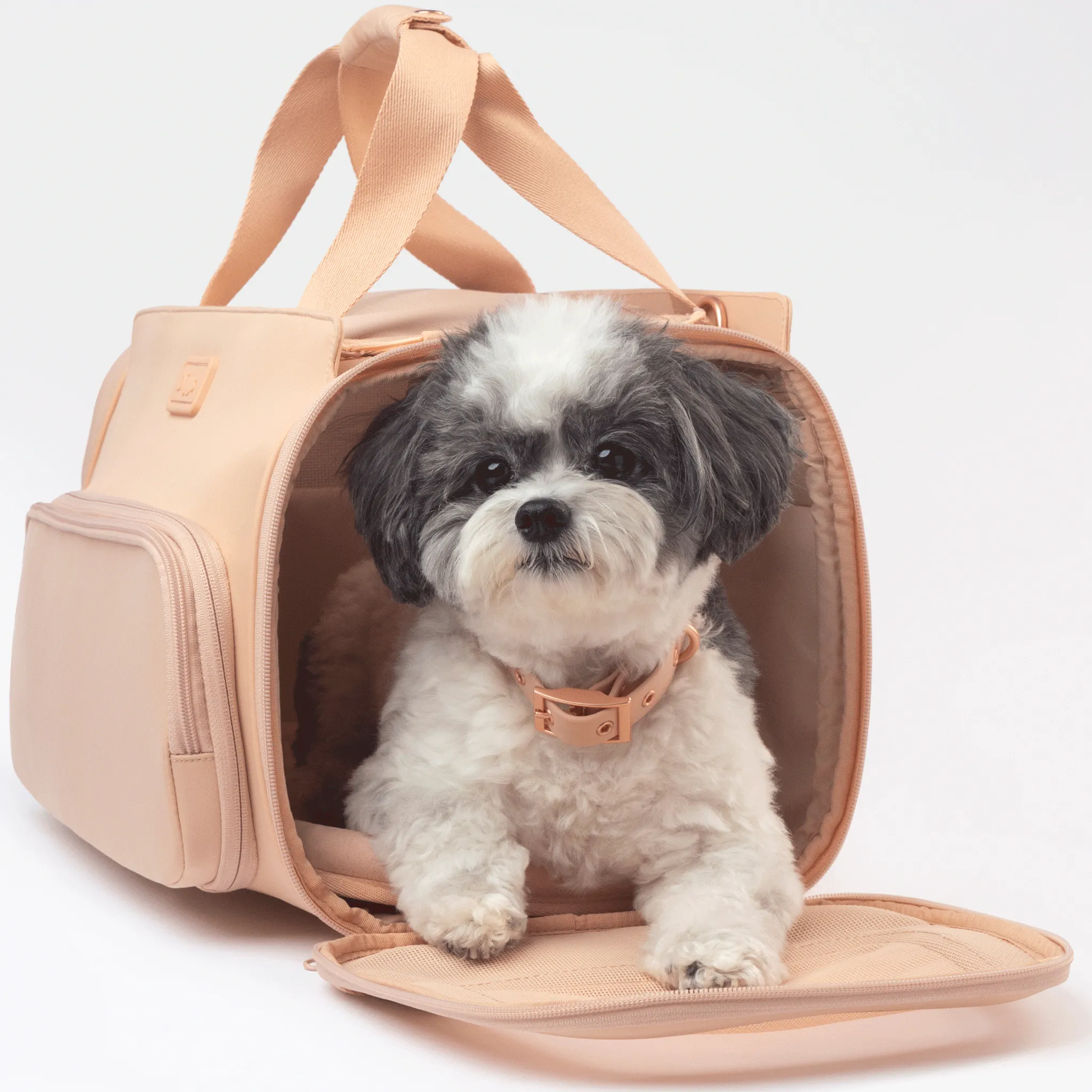 Diggs Passenger Travel Carrier - Blush