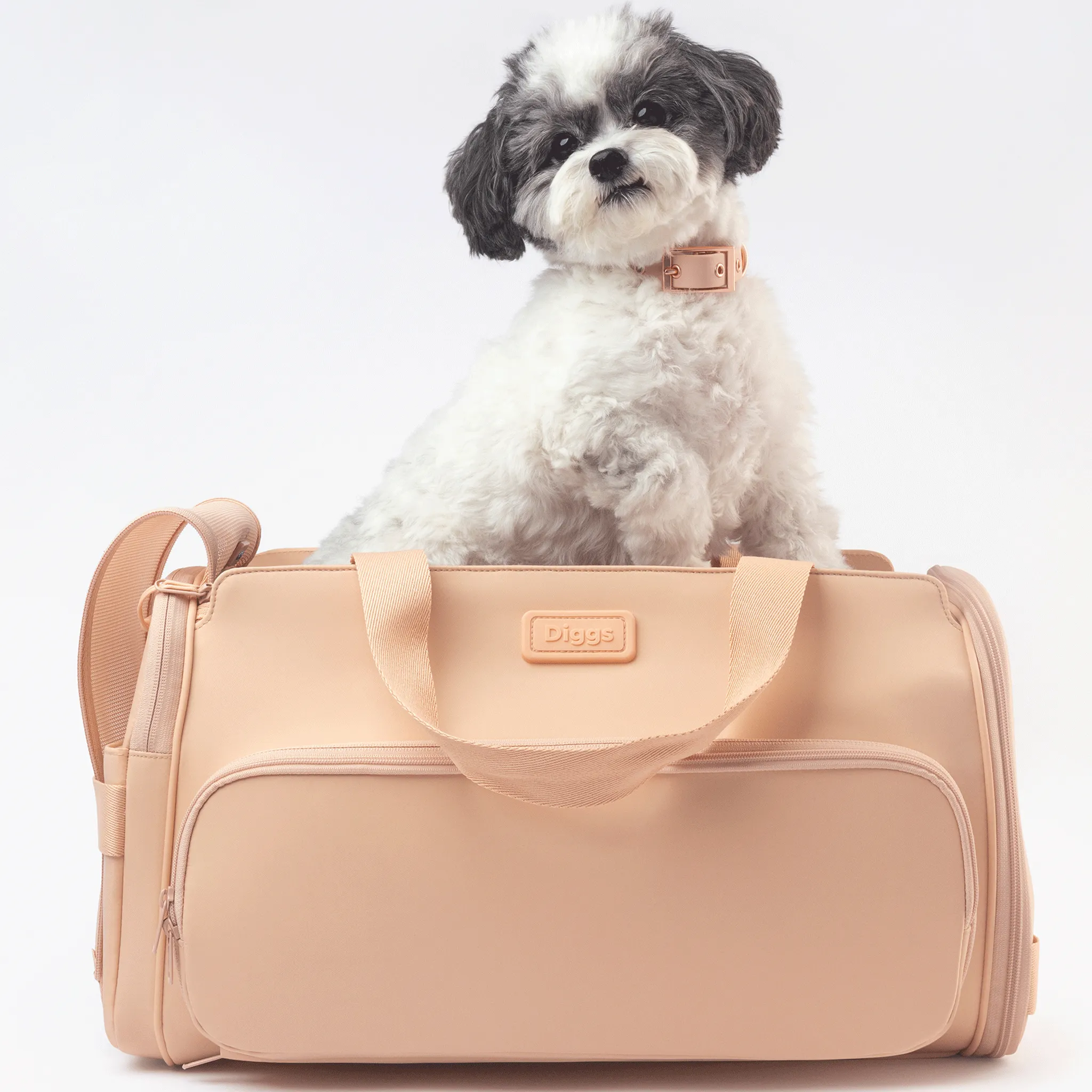 Diggs Passenger Travel Carrier - Blush