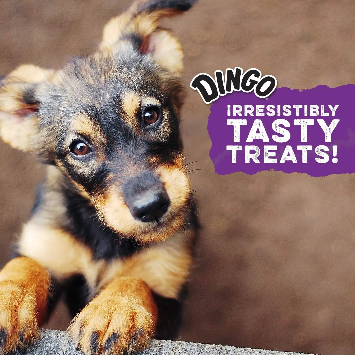 Dingo Twist Sticks, Premium Rawhide Treats for Dogs Made with Real Chicken 50-Count