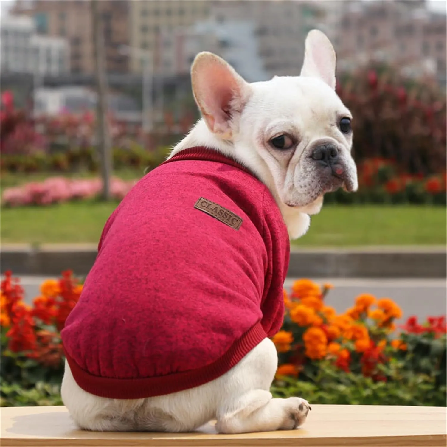Dog Sweaters for Small/Medium/Large Dogs Stylish Cat Sweater Warm Pet Apparel for Spring/Fall/Winter(Wine red, L)