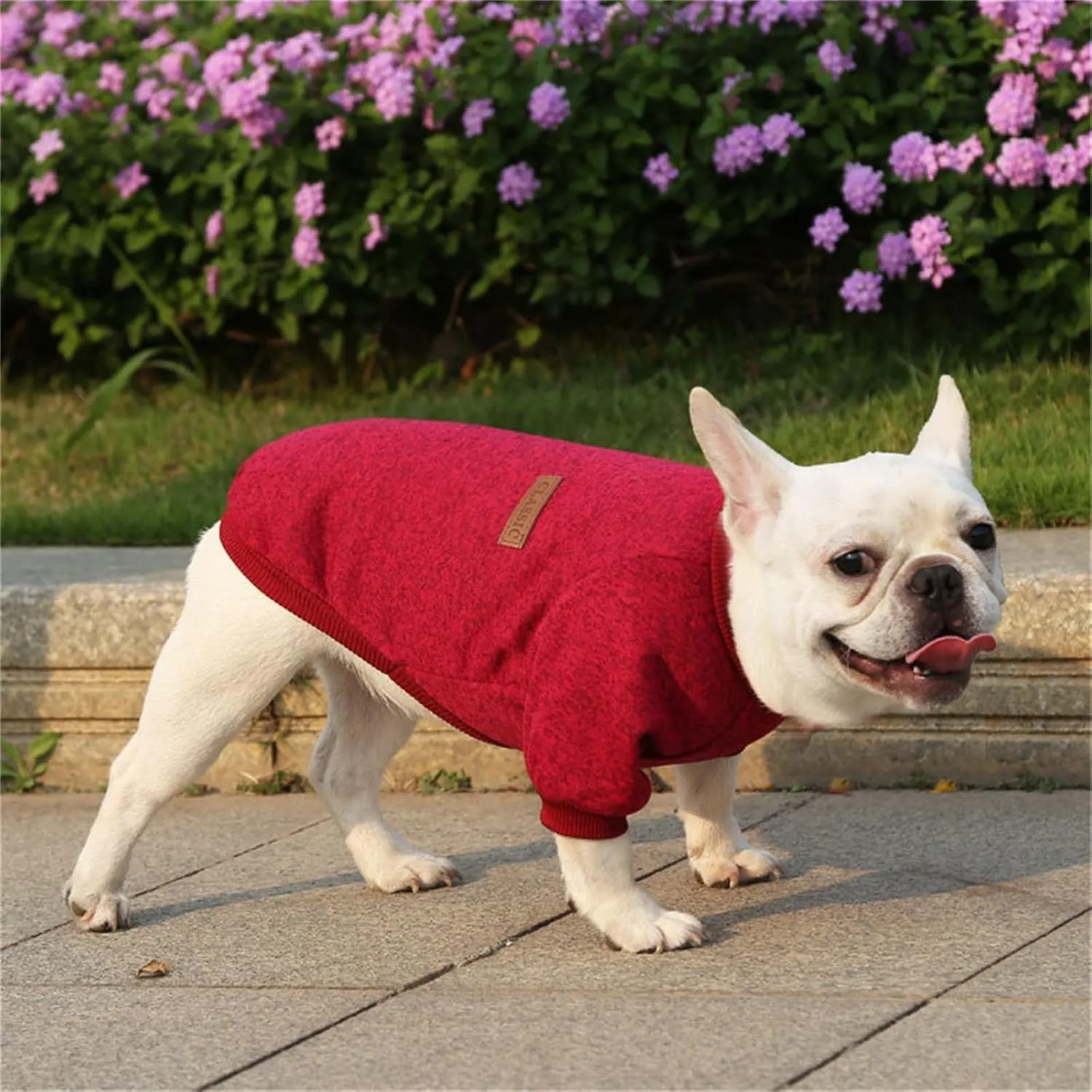 Dog Sweaters for Small/Medium/Large Dogs Stylish Cat Sweater Warm Pet Apparel for Spring/Fall/Winter(Wine red, L)