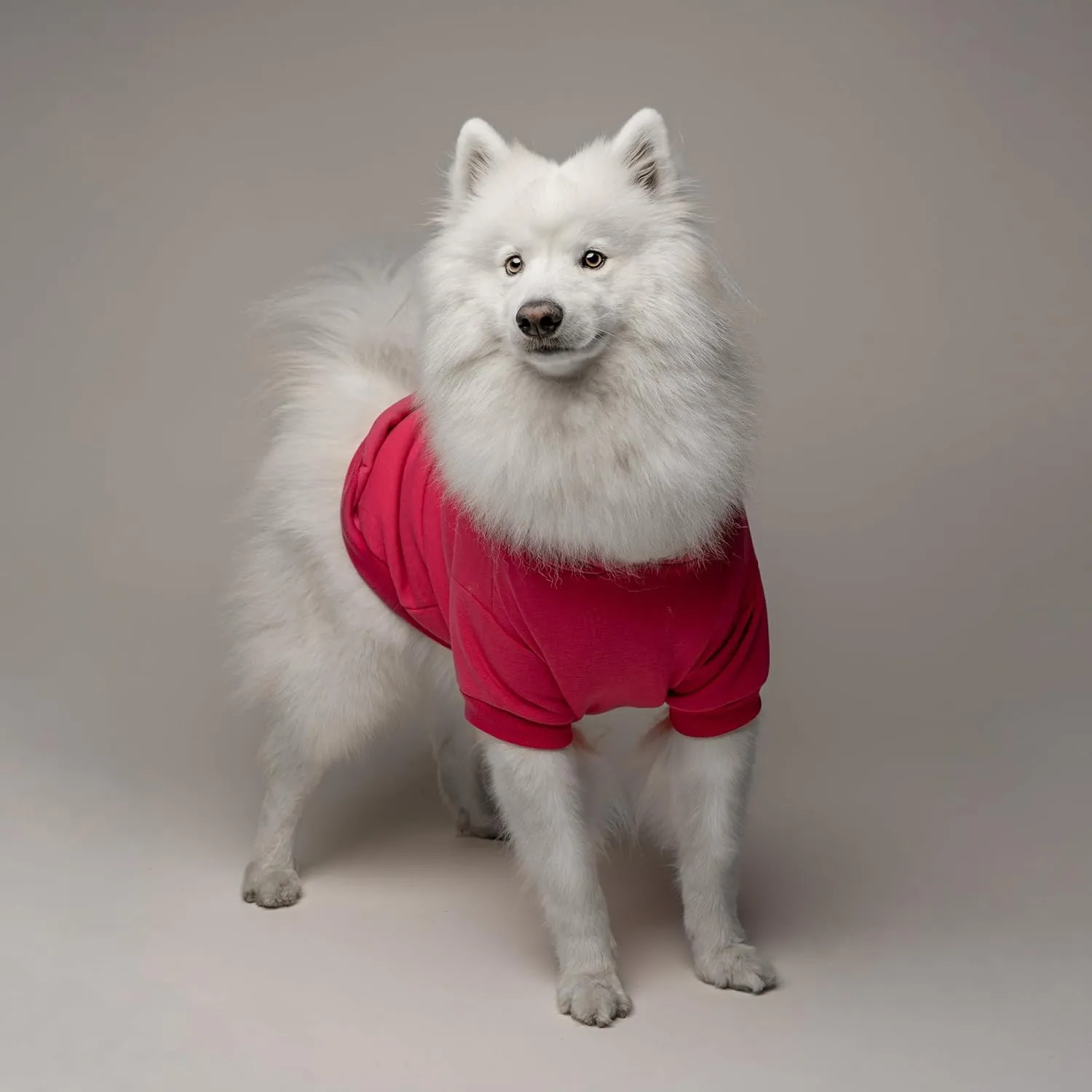 Freelance Dog Model Dog Hoodie | Fleece Lined |Leash Hole| Funny Photoshoot Prop|Hot Pink, X-Small 1355