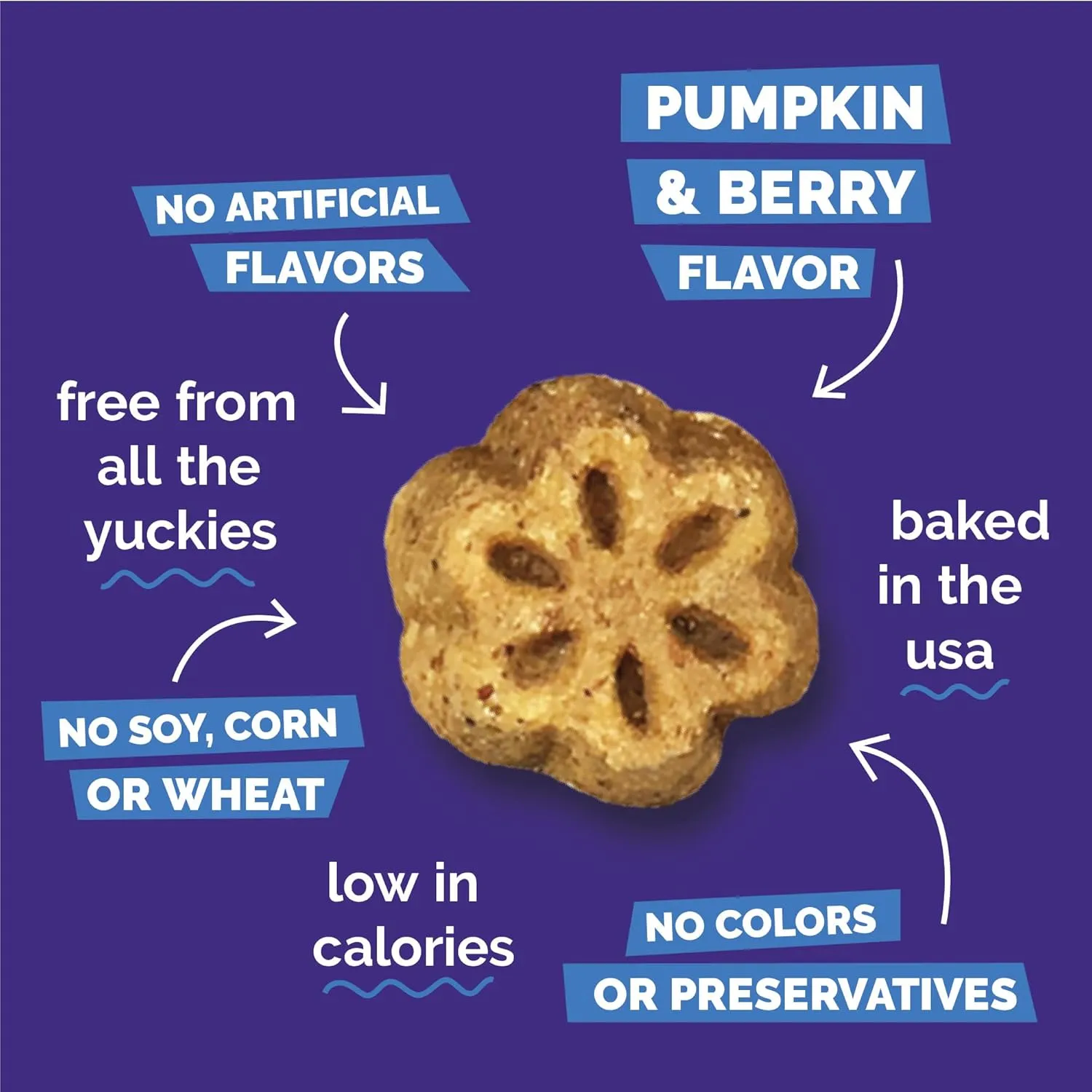 Fruitables Skinny Mini Dog Treats, Healthy Pumpkin Treat for Dogs, Low Calorie & Delicious, Puppy Training, Free of Wheat, Corn and Soy, Made in The USA, Pumpkin and Berry Flavor, 12oz