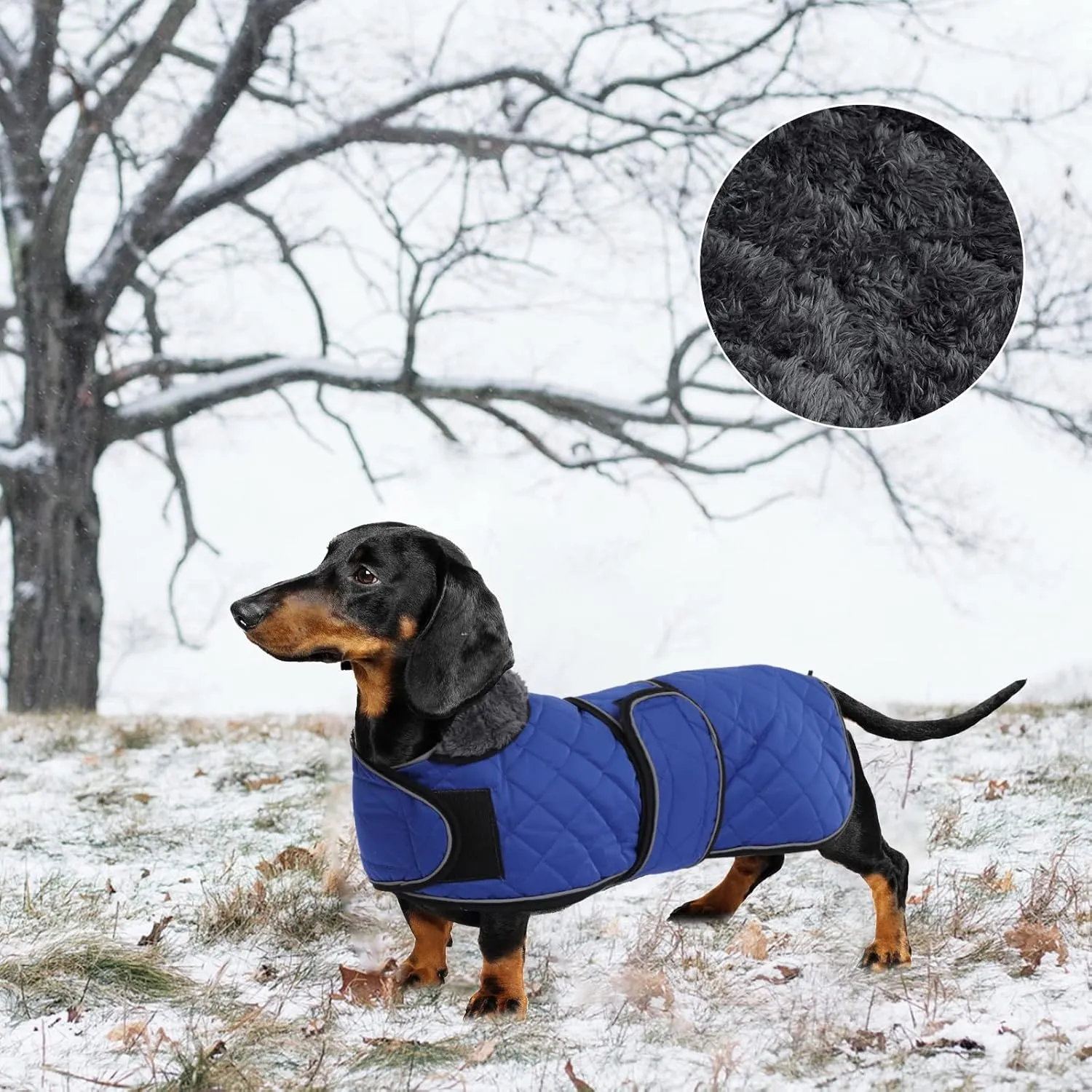 Geyecete Warm Thermal Quilted Dachshund Coat, Dog Winter Coat with Warm Fleece Lining, Outdoor Dog Apparel with Adjustable Bands for Medium, Large Dog-Blue-S