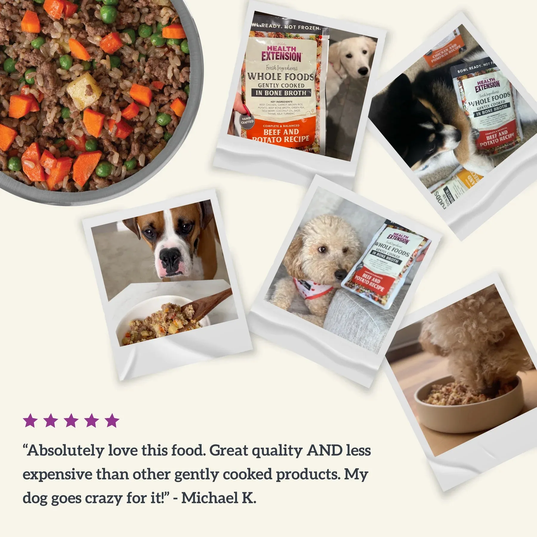 Health Extension Gently Cooked in Broth Beef & Potato Recipe Pouches for Dogs, 9-oz pouch