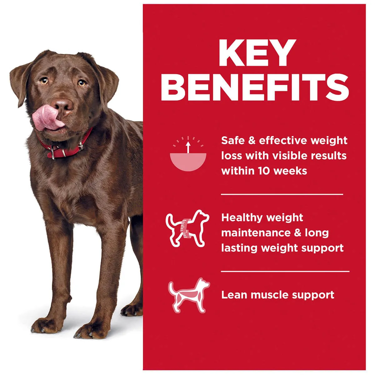 Hill's Science Diet Perfect Weight Adult Large Breed Dry Dog Food