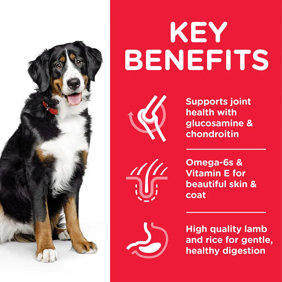 Hill's Science Plan - Adult Large Breed - Chicken