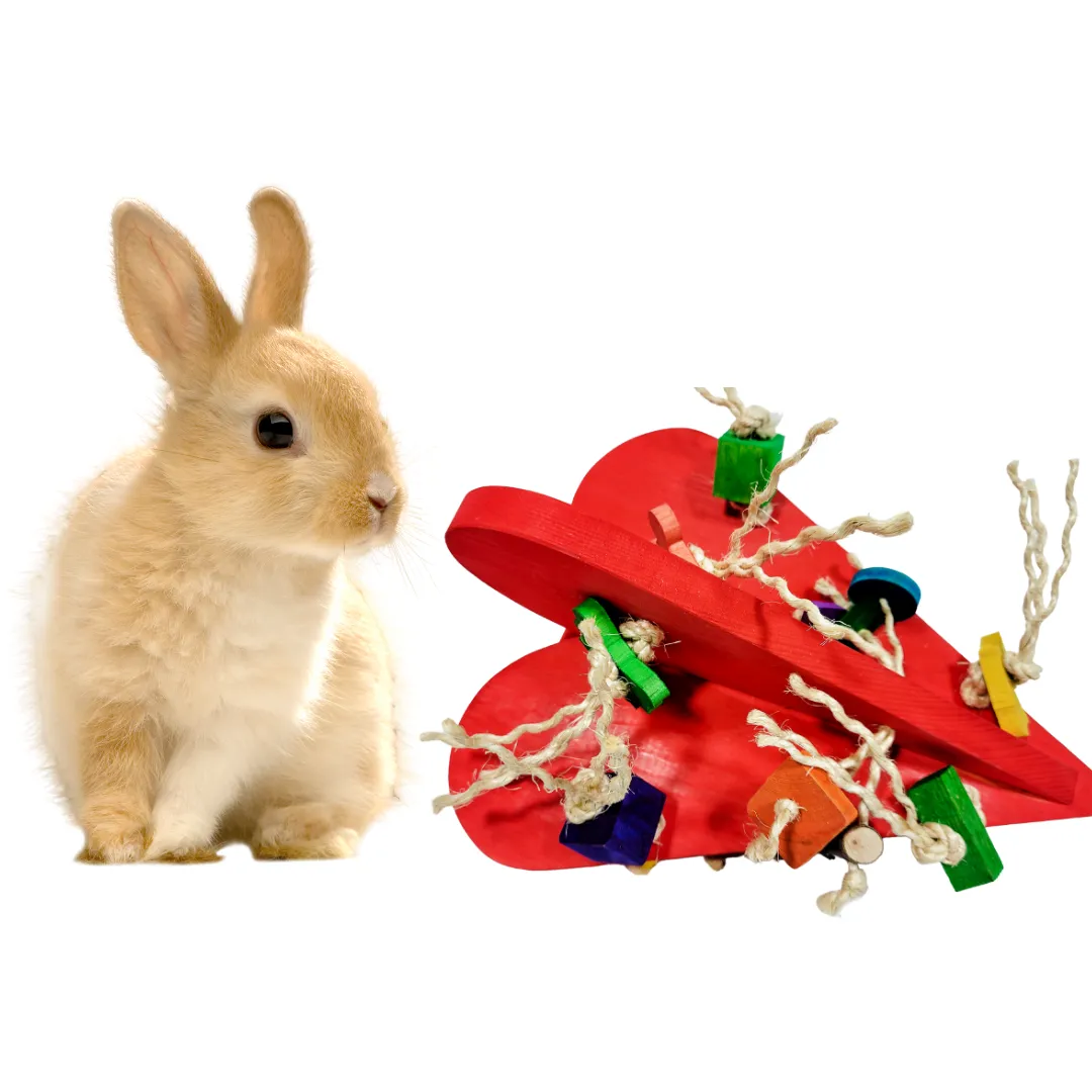 King Size Bunny Love Heart Toy