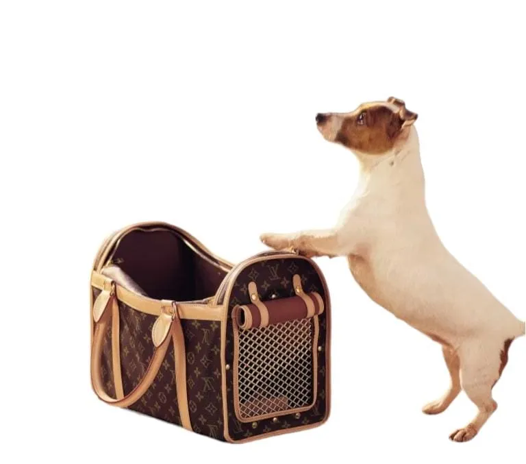 Louis Vuitton Pet Leather Brown Bag