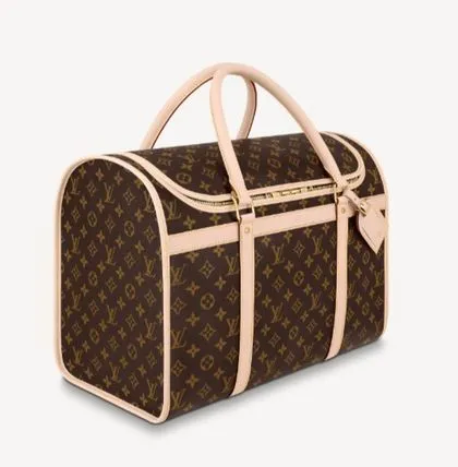 Louis Vuitton Pet Leather Brown Bag