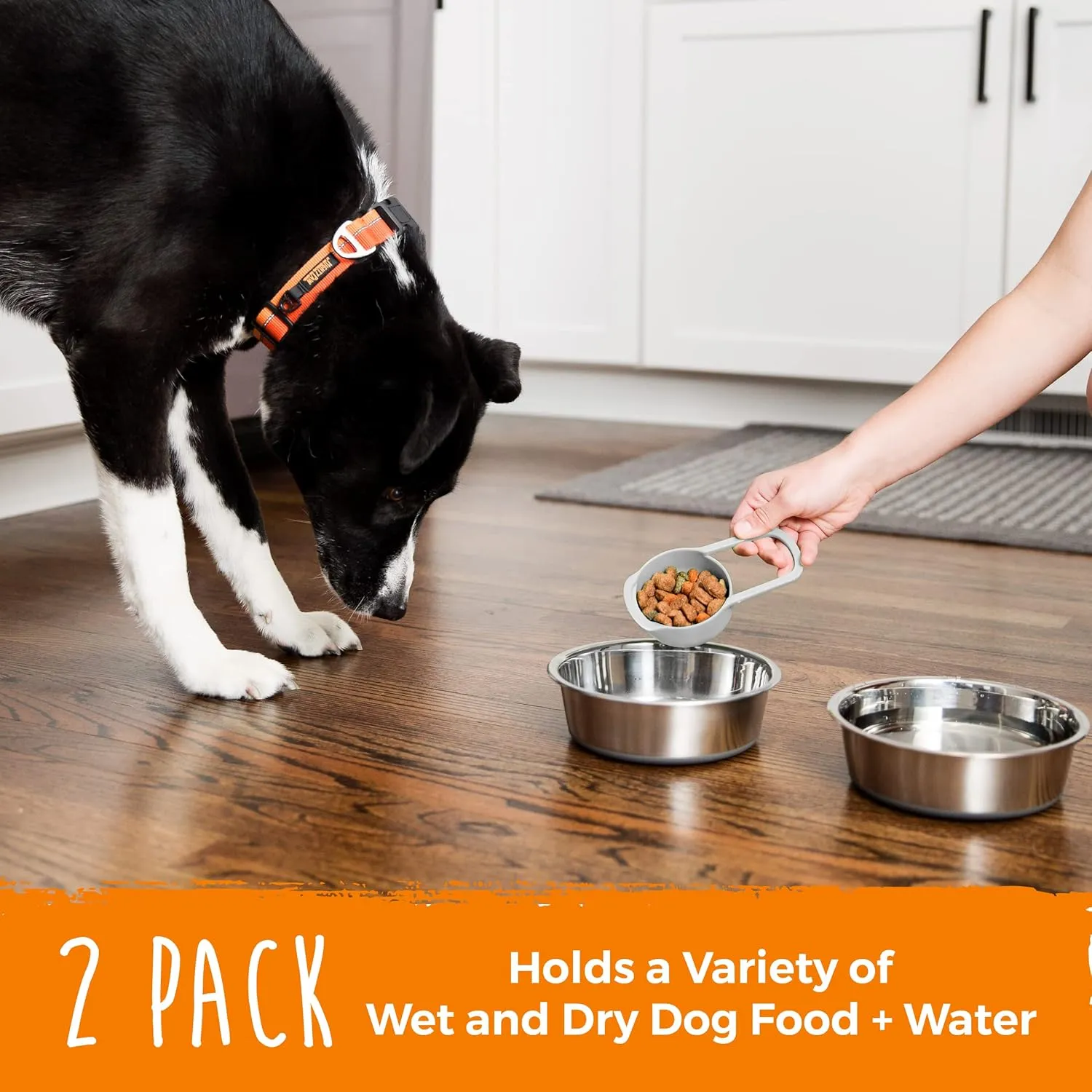 Mighty Paw Dog Bowls Set - Non-Slip Bottom - No Spill Design - Dishwasher Safe - for Small and Large Pets - Stainless Steel Water Bowl - Pet Dishs - Steel Bowls - Doggie Bowl - (Small 5.5)