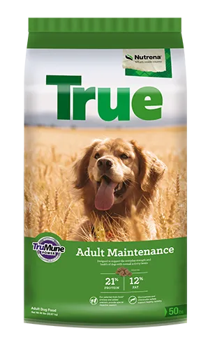 Nutrena True Adult Maintenance 21/12 Dog Food