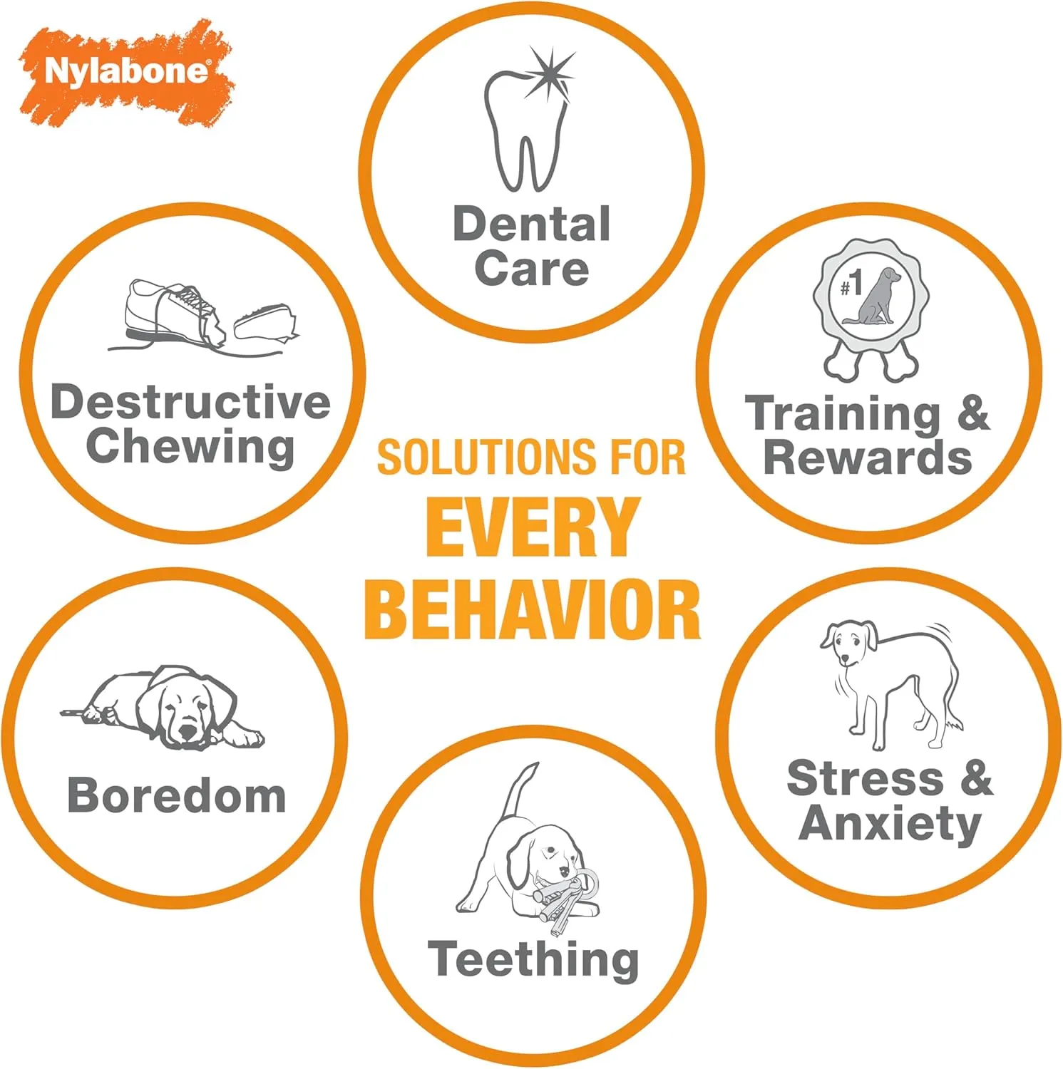 Nylabone Power Chew Classic Bone Chew Toy for Dogs, Durable Dog Toys for Aggressive Chewers, Bacon Flavor, X-Small/Petite - Up to 15 lbs. (1 Count)