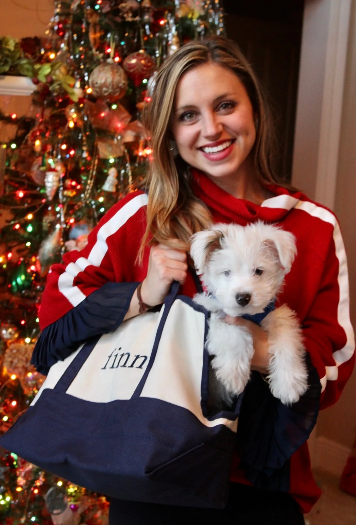 Pampered Pooch Dog Pet Carier