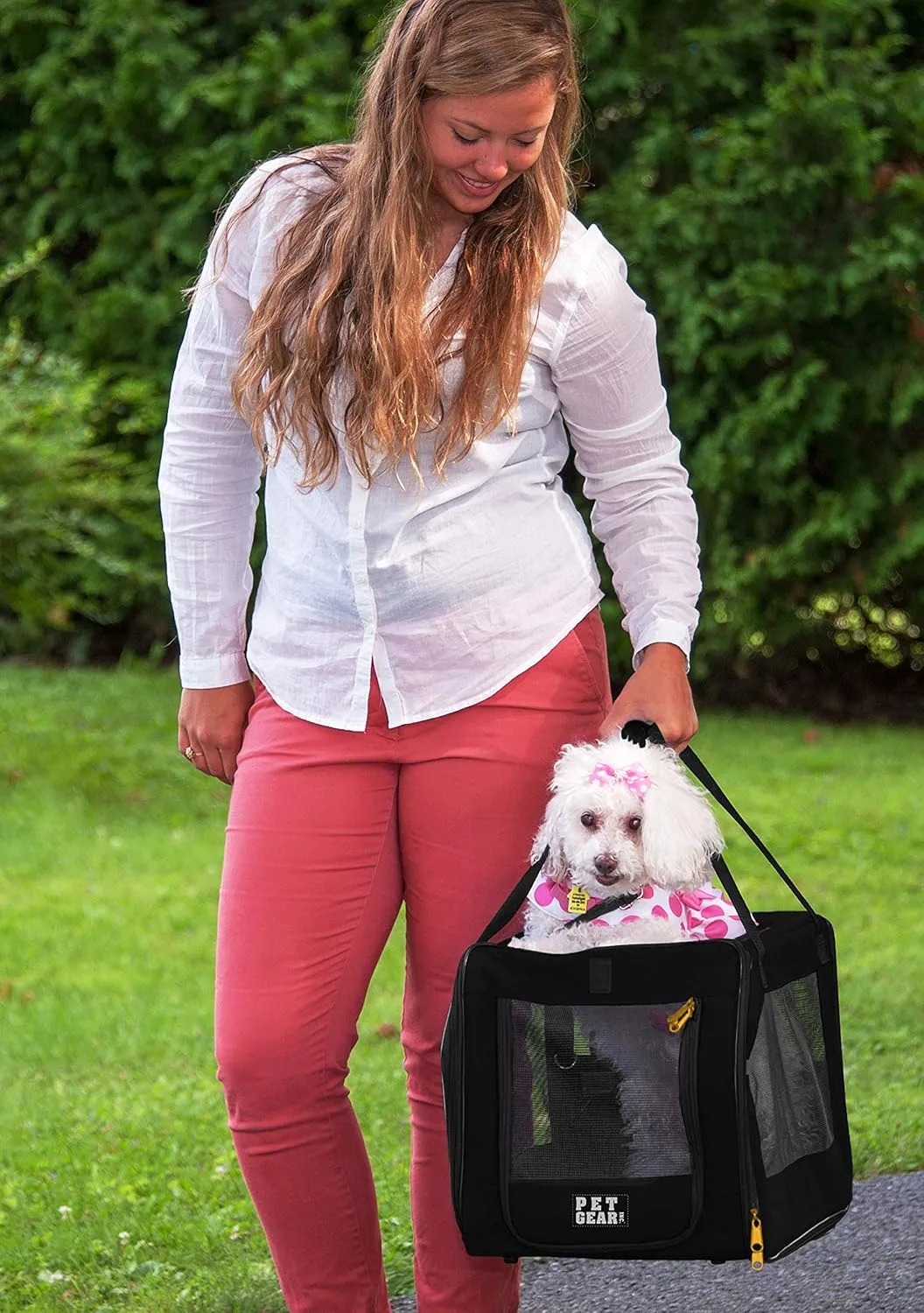 Pet Gear Signature Pet Safety Carrier and Car Seat for Small Dogs & Cats, Onyx