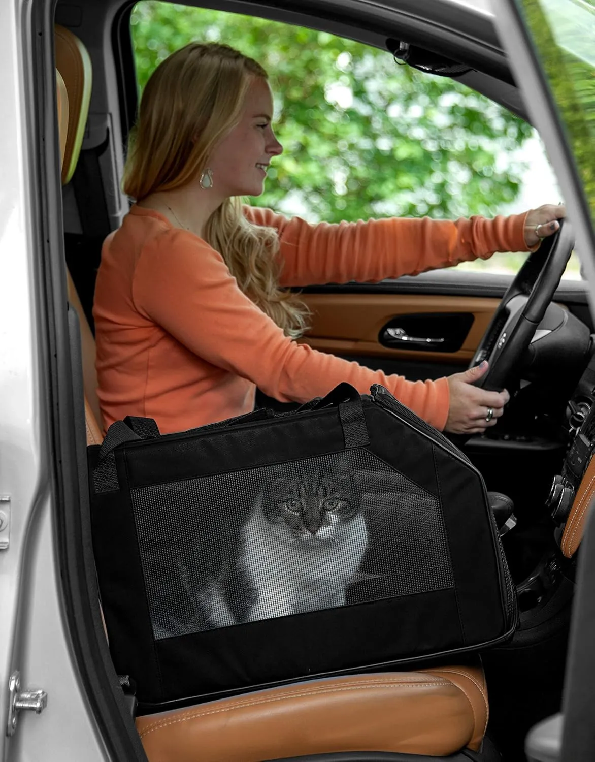 Pet Gear Signature Pet Safety Carrier and Car Seat for Small Dogs & Cats, Onyx