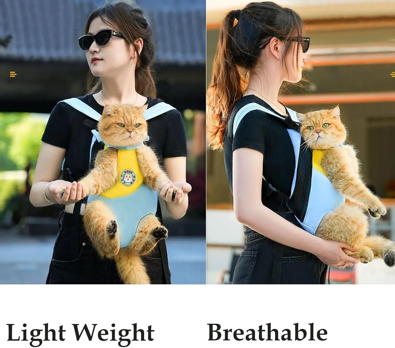 Pet Legs Out Carrier Backpack, Dog Cat Front Backpack Ventilated Mesh Travel Back Pack with Safety Belt for Travel Hiking Cycling Outdoor Use, Medium Large Puppy Cat Carrying Bag, Blue