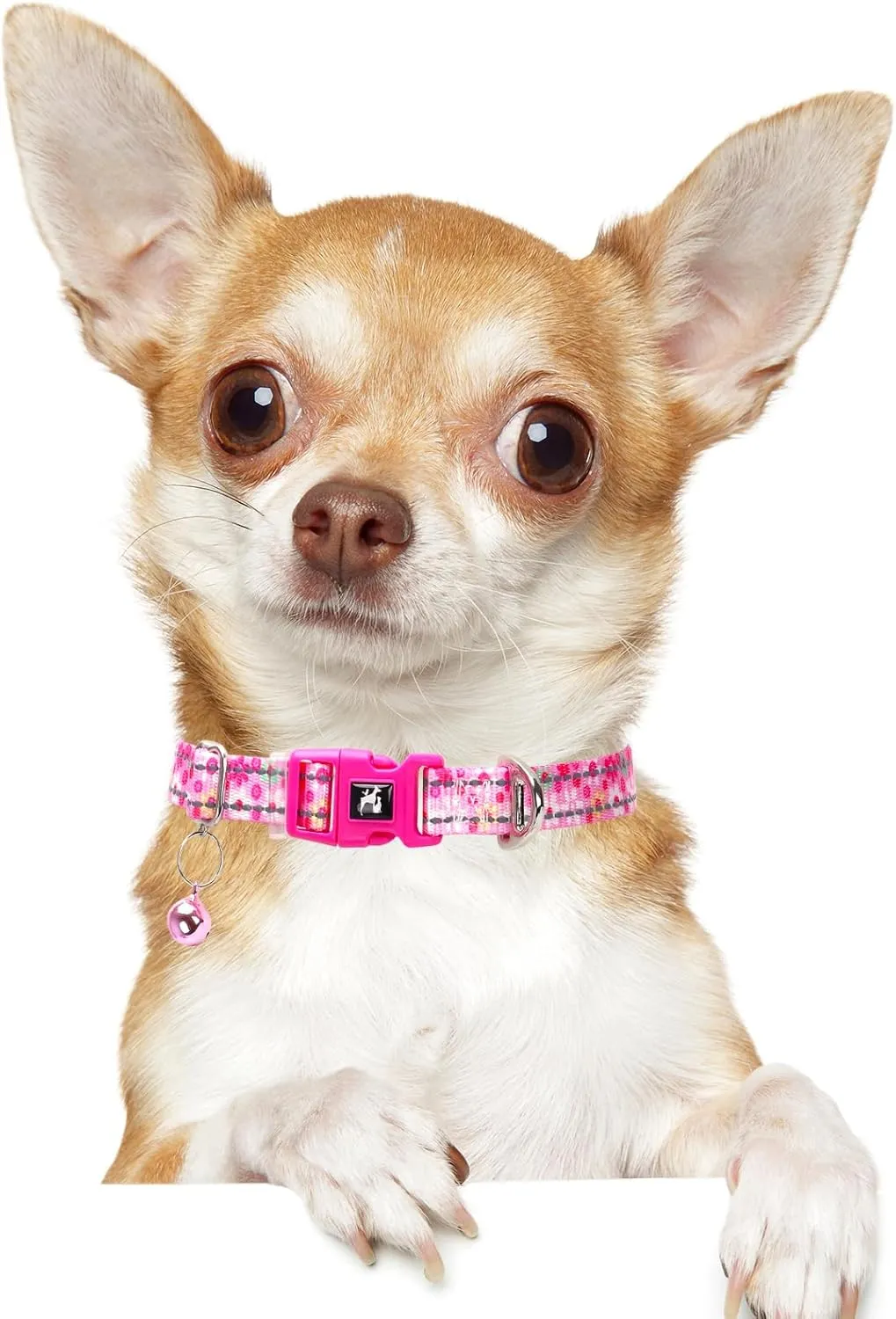 Pink Puppy Collar with Bell - Reflective Adjustable Nylon Kitten-Safe Collar for Small Dogs & Cats, Soft Flower Pattern Design for Teacup Chihuahua, Pomeranian, and Kittens (X-Small, Flower)