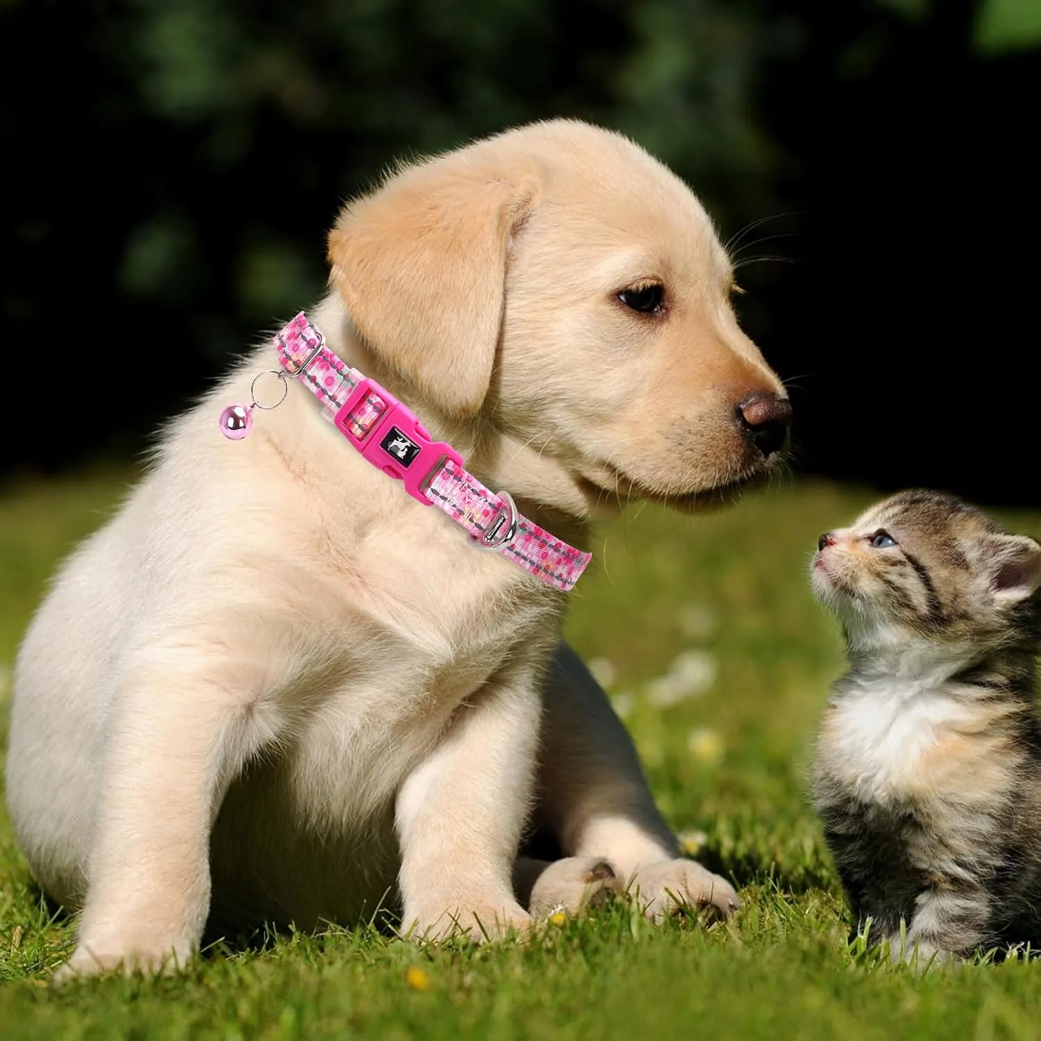 Pink Puppy Collar with Bell - Reflective Adjustable Nylon Kitten-Safe Collar for Small Dogs & Cats, Soft Flower Pattern Design for Teacup Chihuahua, Pomeranian, and Kittens (X-Small, Flower)