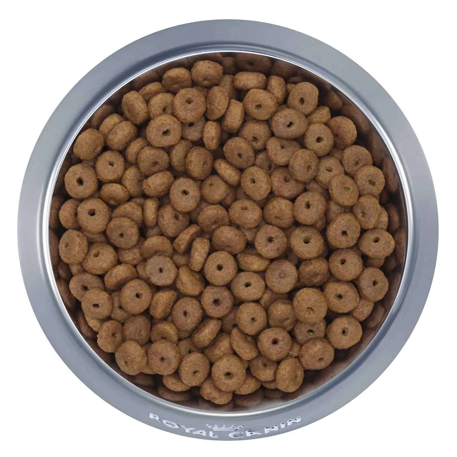 Royal Canin Maxi Ageing 8  Dry Dog Food 15kg