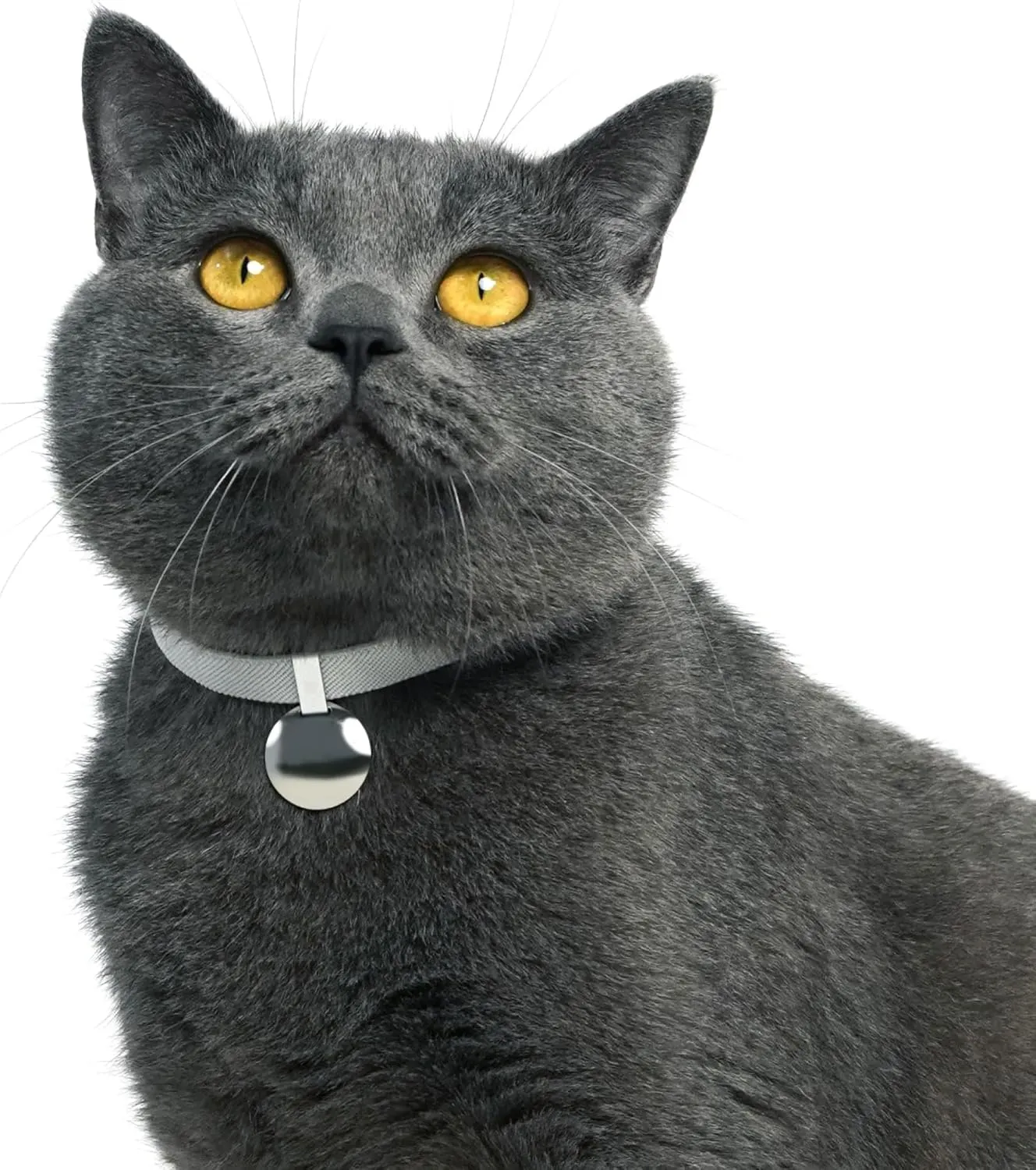 Safety Cat Collar Gem Tag Set,- U.S. IDA Gold Awarding Quick Release Cat Collar Non Breakaway Elastic Light Weight cat Collar with Charm Cat Collar Jewelry (Gold)