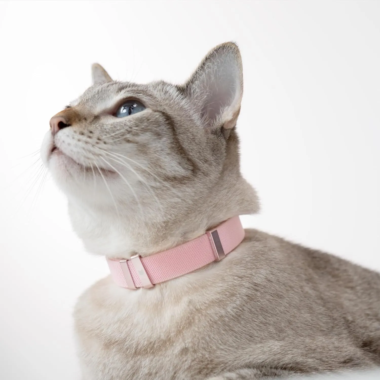 Safety Cat Collar - U.S. IDA Gold Awarding Design, Stretch Elastic Quick Release, Non Breakaway - Light Weight for Kitten, Neck Fit 5.9'-11.8' for All Small Large Cat,S(Lime Green)