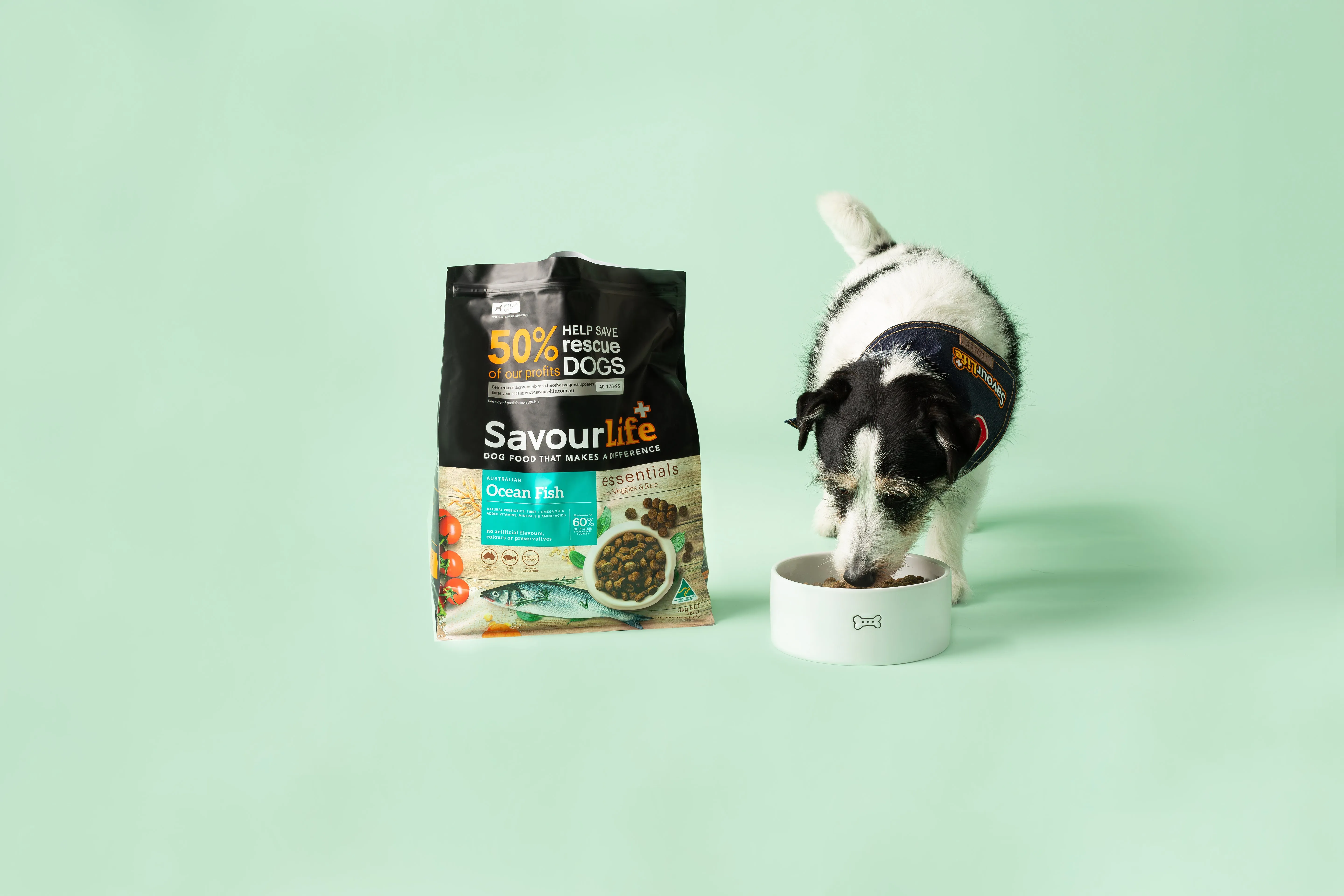 SavourLife - Essentials Ocean Fish Dog Dry Food (15kg)