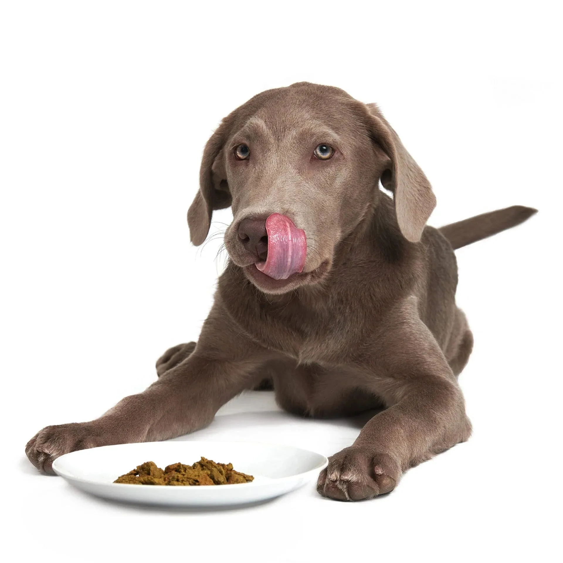 Smack - Dog Food Raw Dehydrated - Caribbean Salmon Fusion
