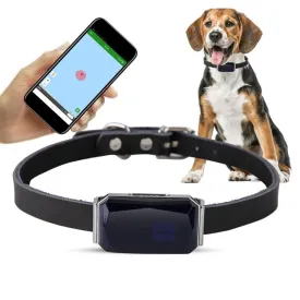 Smart Pet GPS Tracker