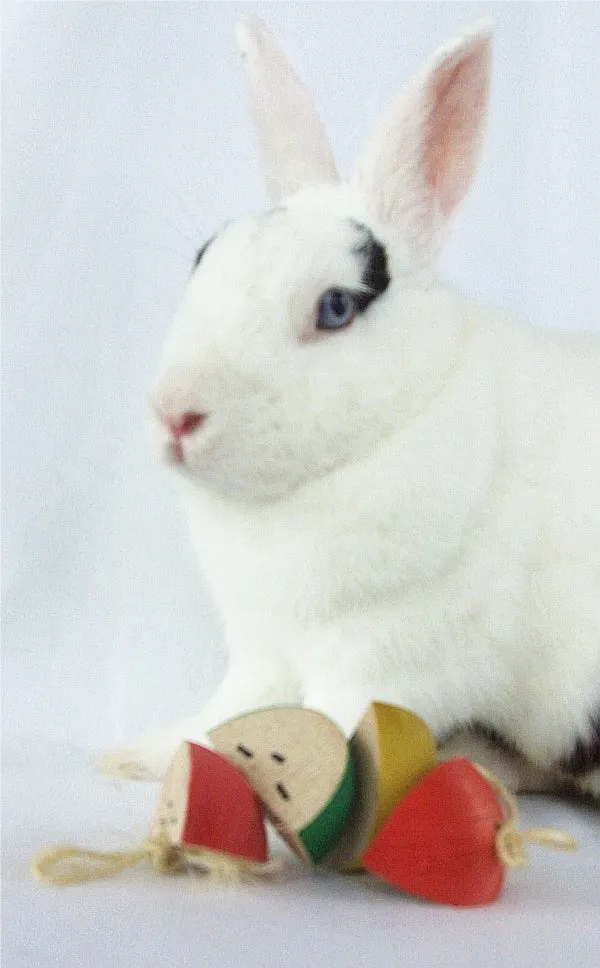 String of Apples Toy for Rabbit