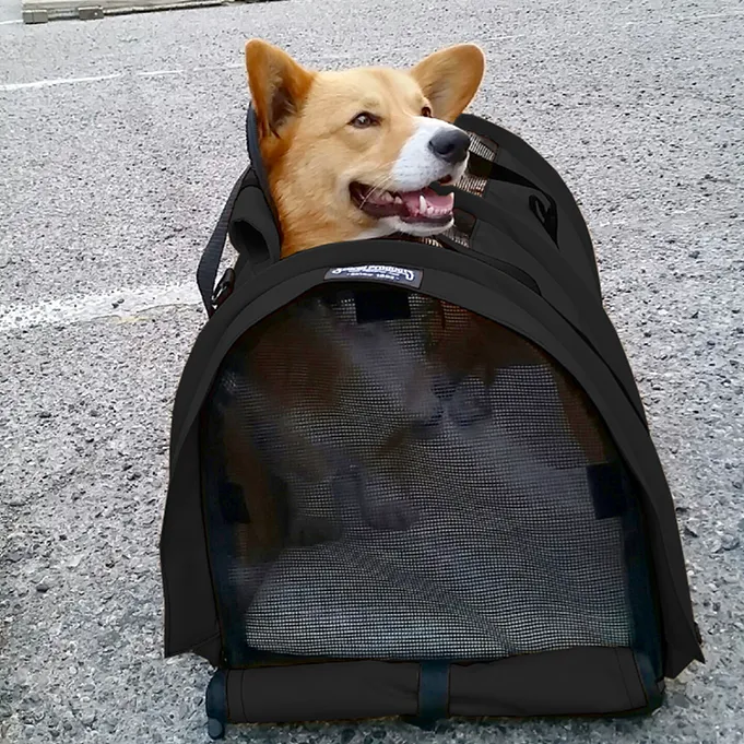 SturdiBag™ Pro 3.0