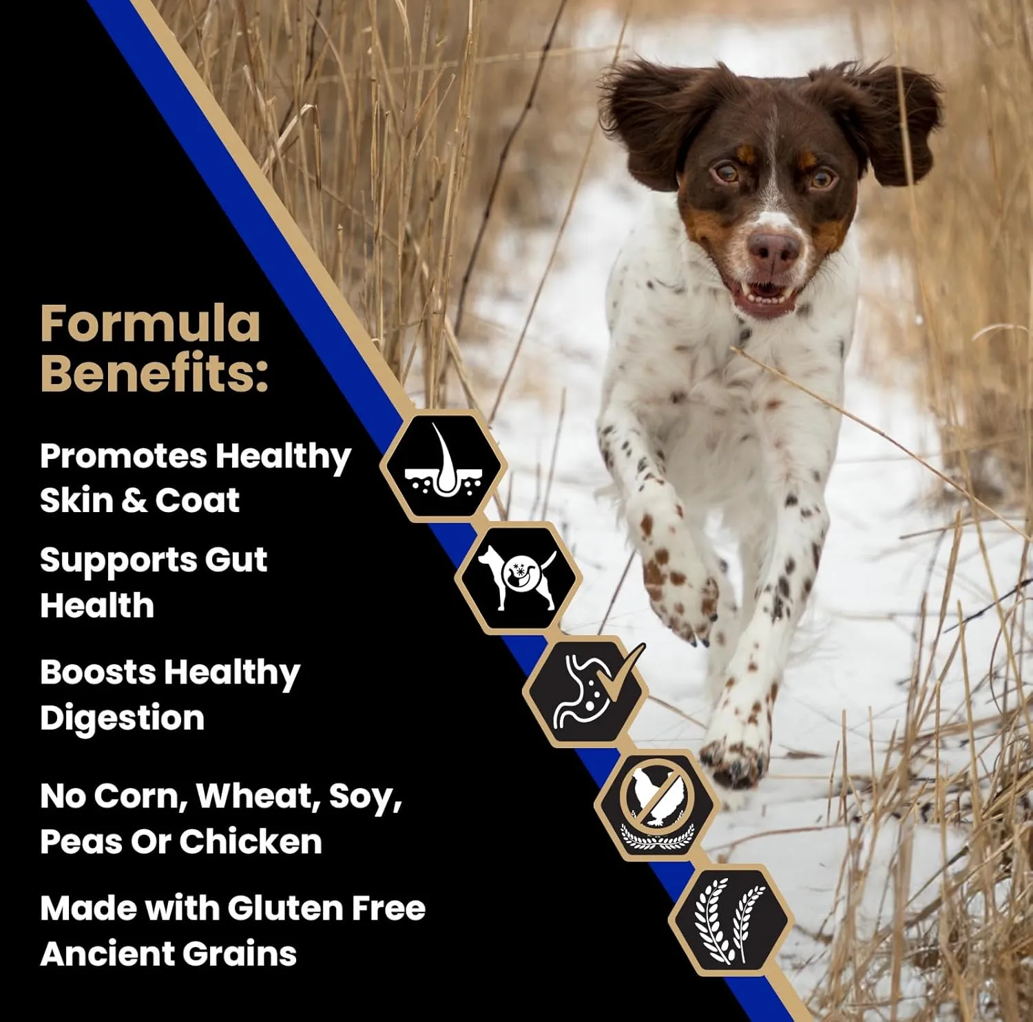 VICTOR- Sensitive Skin and Stomach, Beef Meal and Brown Rice Recipe, Dry Dog Food, 30-lb