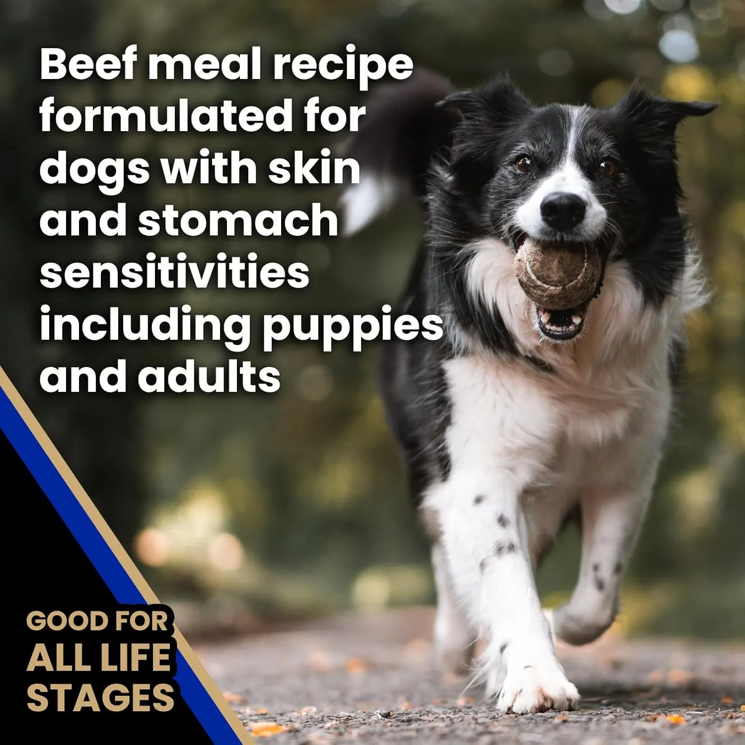 VICTOR- Sensitive Skin and Stomach, Beef Meal and Brown Rice Recipe, Dry Dog Food, 30-lb