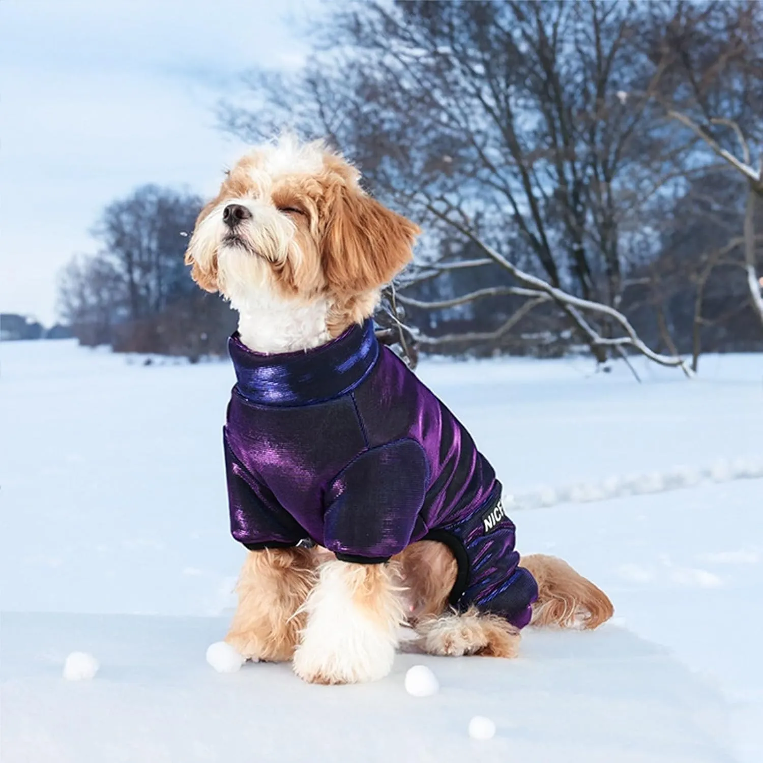 Winter Puppy Sweater for Dogs Winter Fleece Lined Dog Coat with Harness Warm Dogs Puffer Jacket Vest for Cold Weather Pet Onesie with Feet