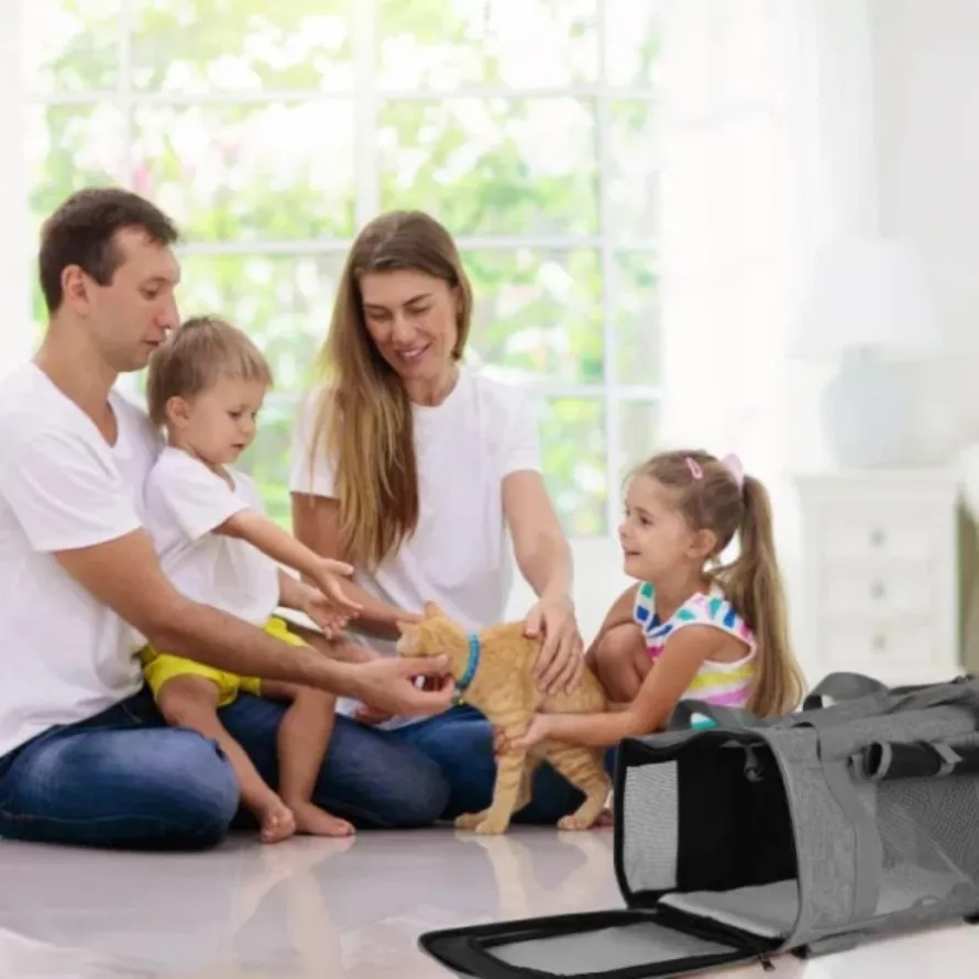 ZUN 1pc Cat Dog Carrier with Wheels Airline Approved Rolling Pet Carrier with Telescopic Handle Shoulder 77237225